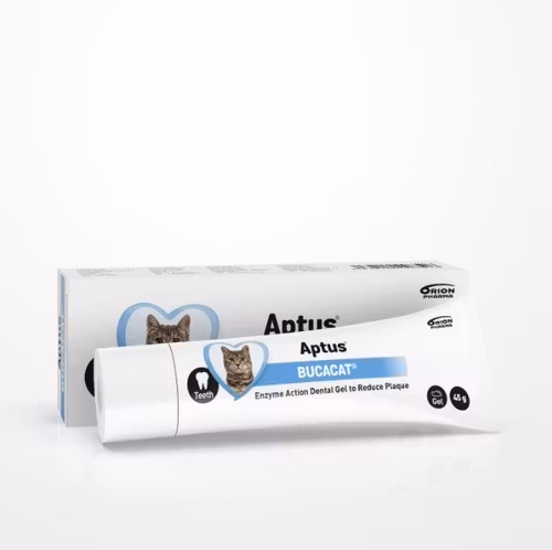 Aptus® Bucacat - Tandgel 45 g