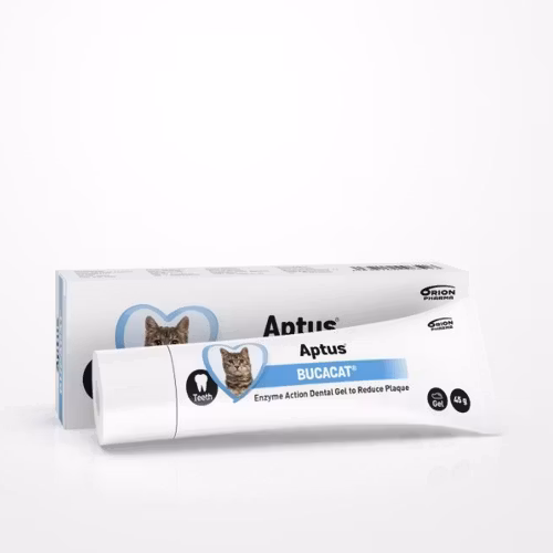 Aptus® Bucacat - Tandgel 45 g