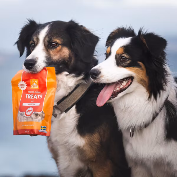 MUSH TREATS FRYSTORKAD NÖT 55 gr