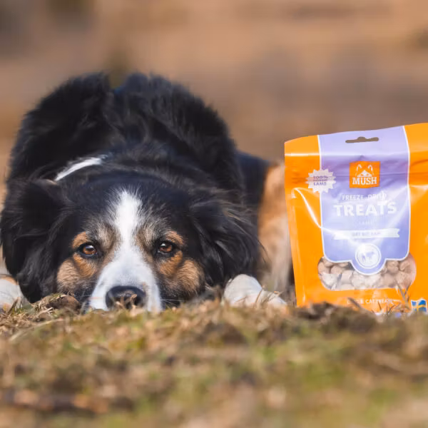 MUSH TREATS FRYSTORKAT LAMM 55 gr