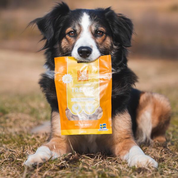 MUSH TREATS FRYSTORKAD KYCKLINGHJÄRTA 50 gr