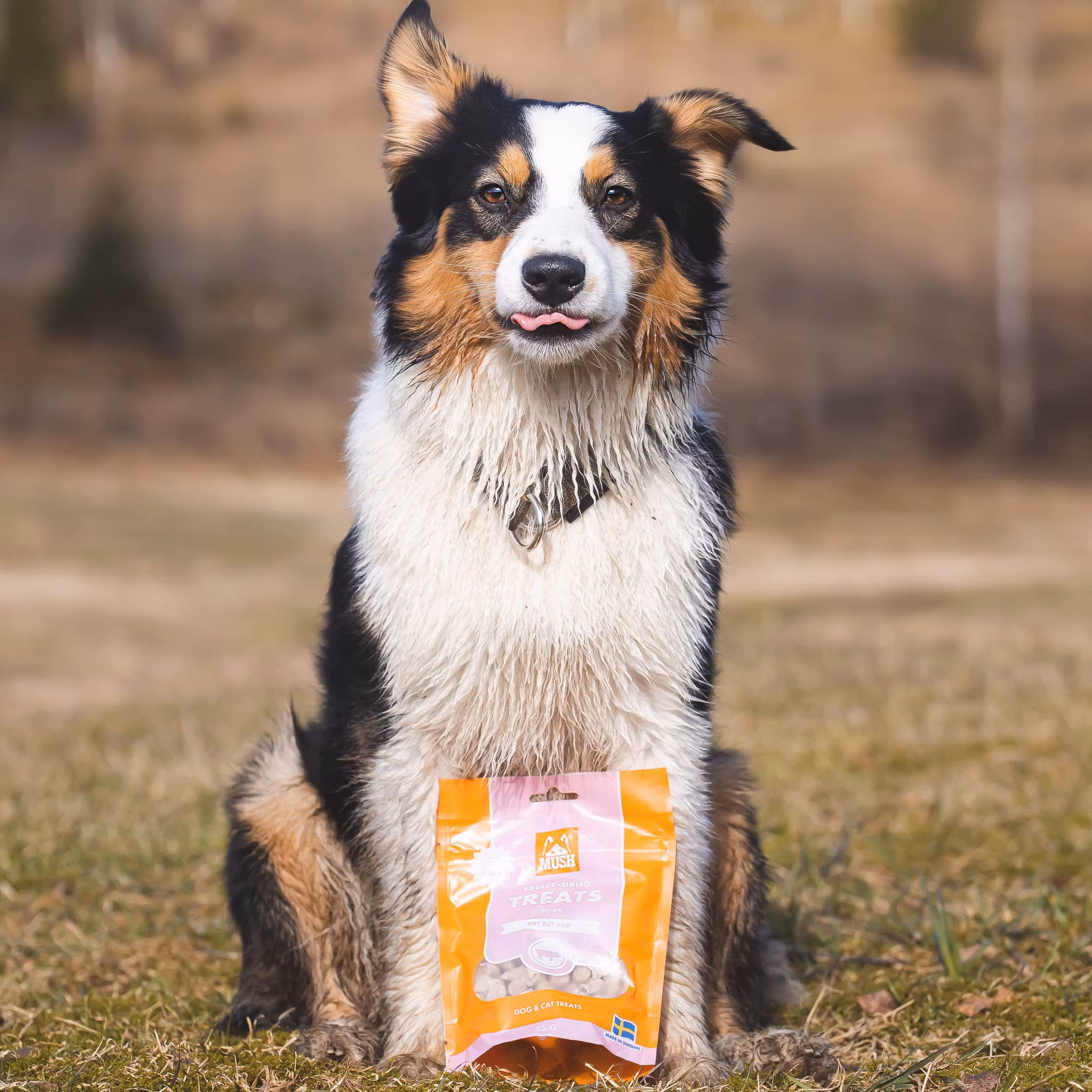MUSH TREATS FRYSTORKAD GRIS 55 gr