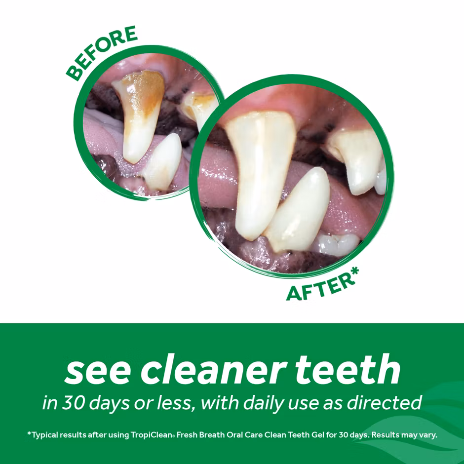 TropiClean Clean Teeth Oral Care Gel- fräsch andedräkt 118 ml