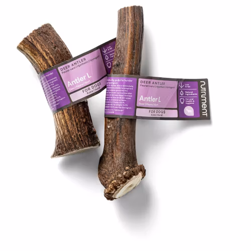 RAUH! Nutriment Antler L - Hjorthorn ca 150-220 gr