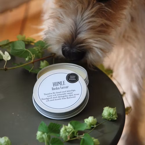 HUMLE Raska tassar - Nordens bästa tassalva till hund!15, 60 el 120 ml