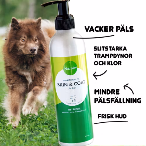 Nutrolin® SKIN & COAT - hud & päls