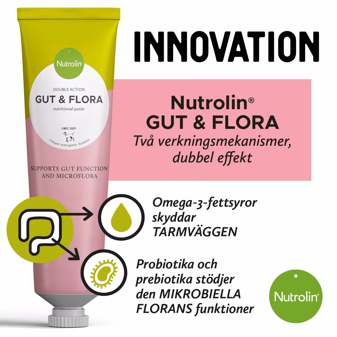 Nutrolin® GUT & FLORA-pasta 200 gr- tarmhälsa