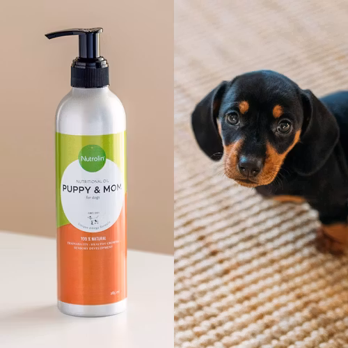 Nutrolin® PUPPY & MOM - valpens utveckling