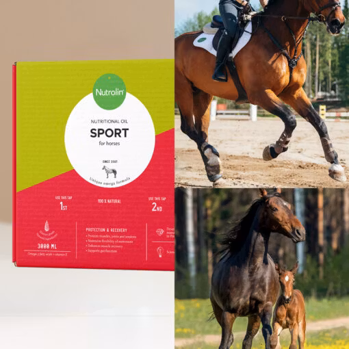 Nutrolin® HORSE Sport - Skydd & återhämtning. 3000 ml