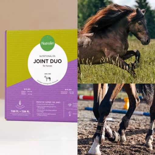 Nutrolin HORSE Joint Duo - leder,inflammationer. 1500 ml olja och 1500 ml lösning