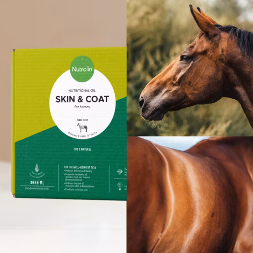 Nutrolin HORSE Skin & Coat - hästens hud & päls. 3000 ml