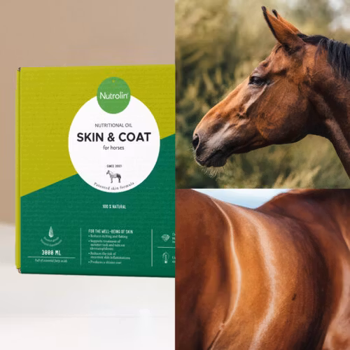Nutrolin HORSE Skin & Coat - hästens hud & päls. 3000 ml
