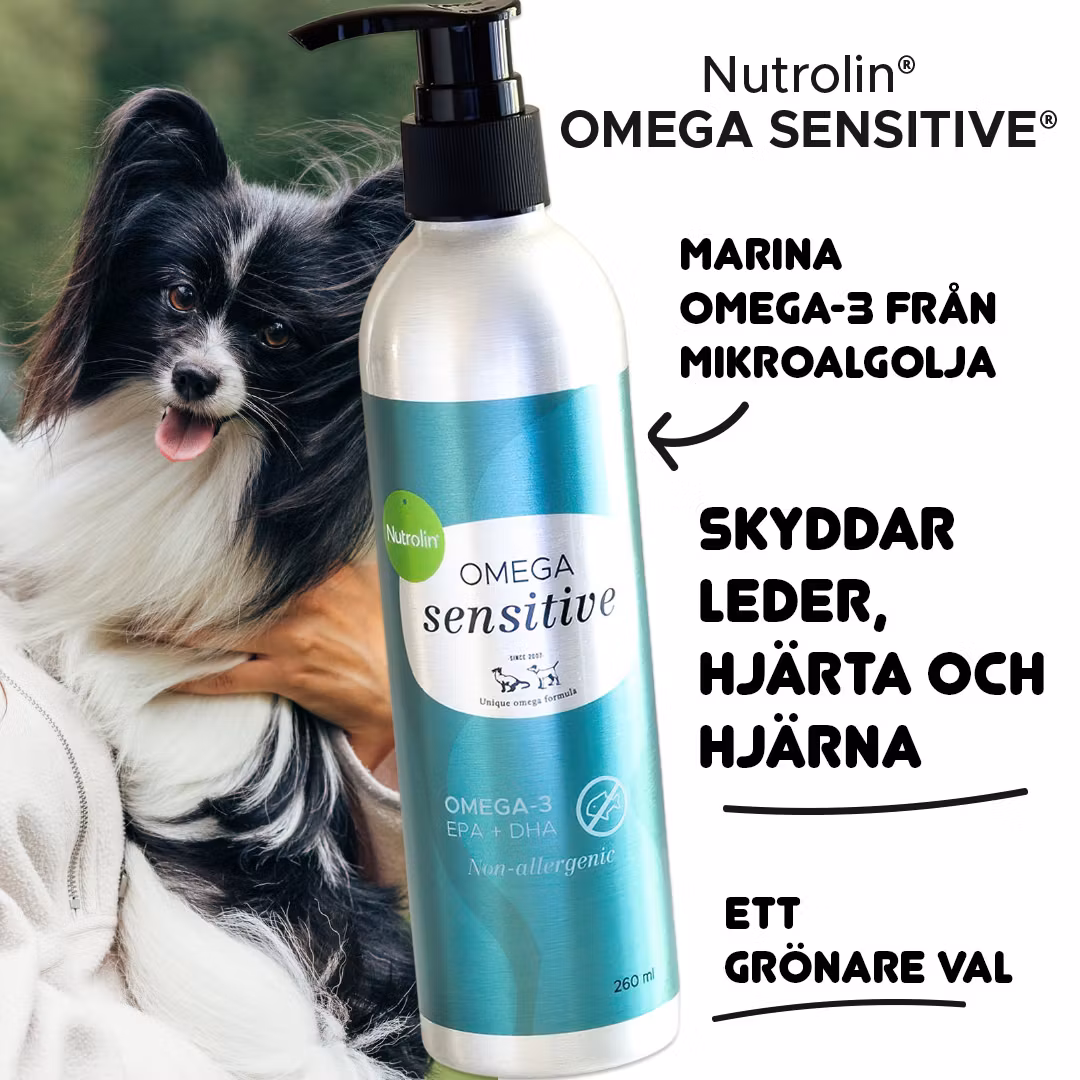 NYHET! Nutrolin® OMEGA SENSITIVE®- microalgolja för det dagliga välbefinnandet