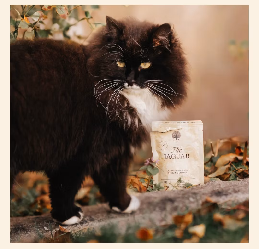 ESSENTIAL THE JAGUAR PÂTÉ 85 gr- våtfoder katt (kyckling,lever,lax)