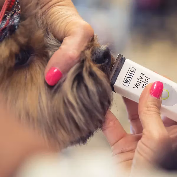 Wahl Klippmaskin Vetiva Mini- uppladdningsbar- för tassar o nos m.m.