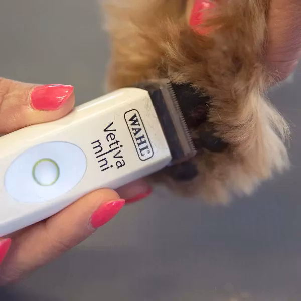 Wahl Klippmaskin Vetiva Mini- uppladdningsbar- för tassar o nos m.m.
