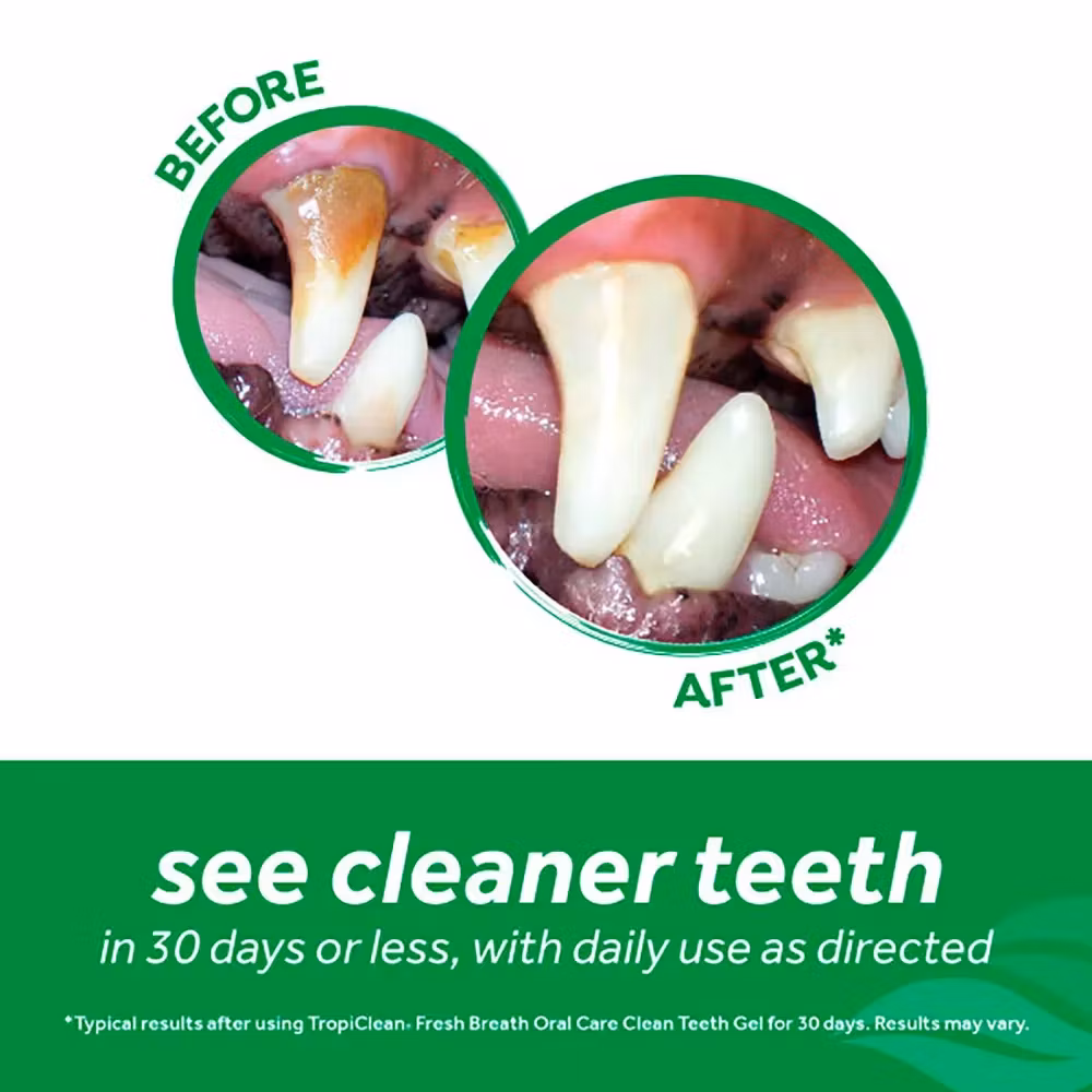 TropiClean Clean Teeth Oral Care Gel-peanut butter- fräsch andedräkt 59ml