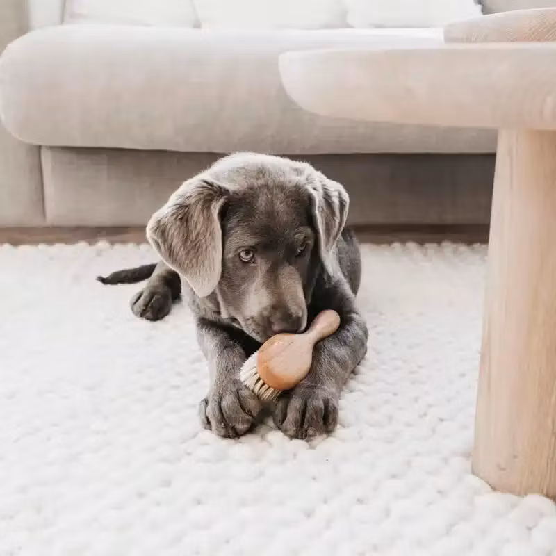 Lila Loves It- Puppy Brush- mjuk valpborste 18,5 x 5 cm
