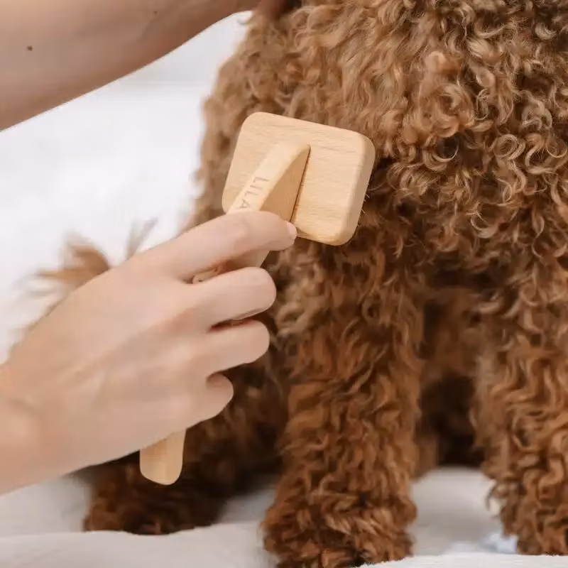 Lila Loves It- Slicker Brush-  S el. M
