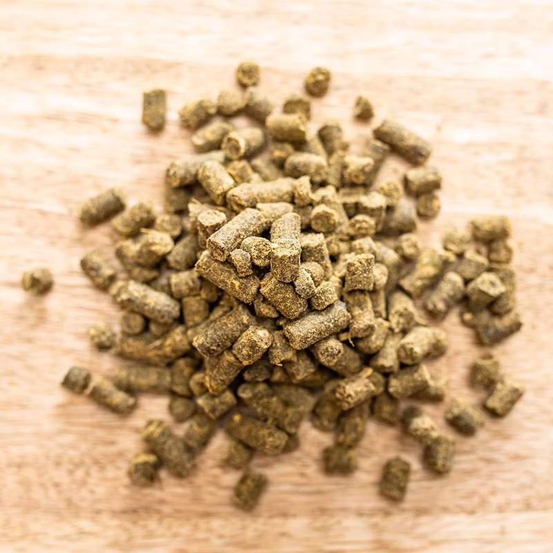 St Hippolyt Equilizer 1 kg- koncentration och lugn