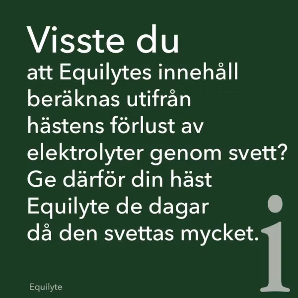 St Hippolyt Equilyte 1 kg- mineralfoder,elektrolyter