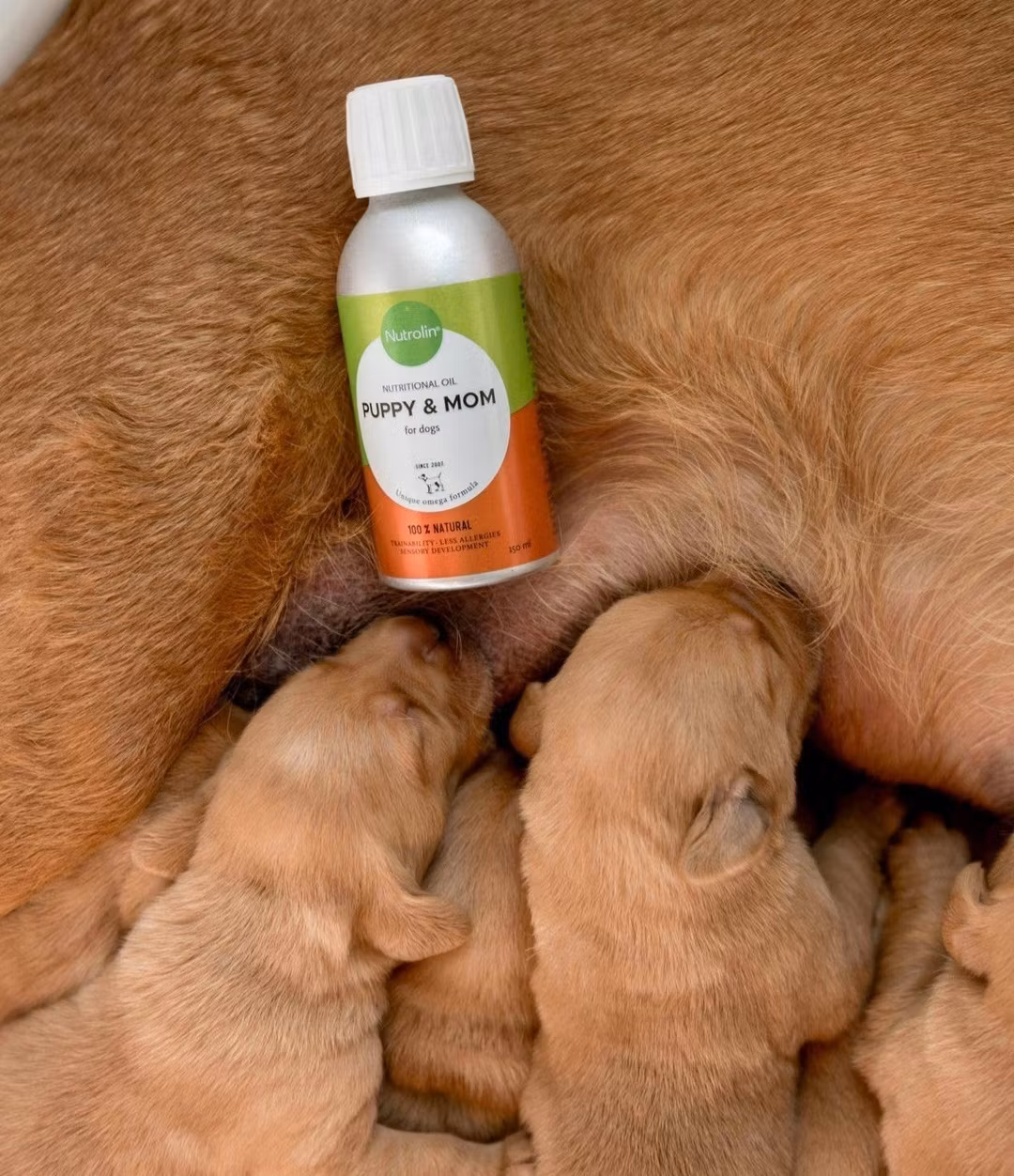 Nutrolin® PUPPY & MOM - valpens utveckling