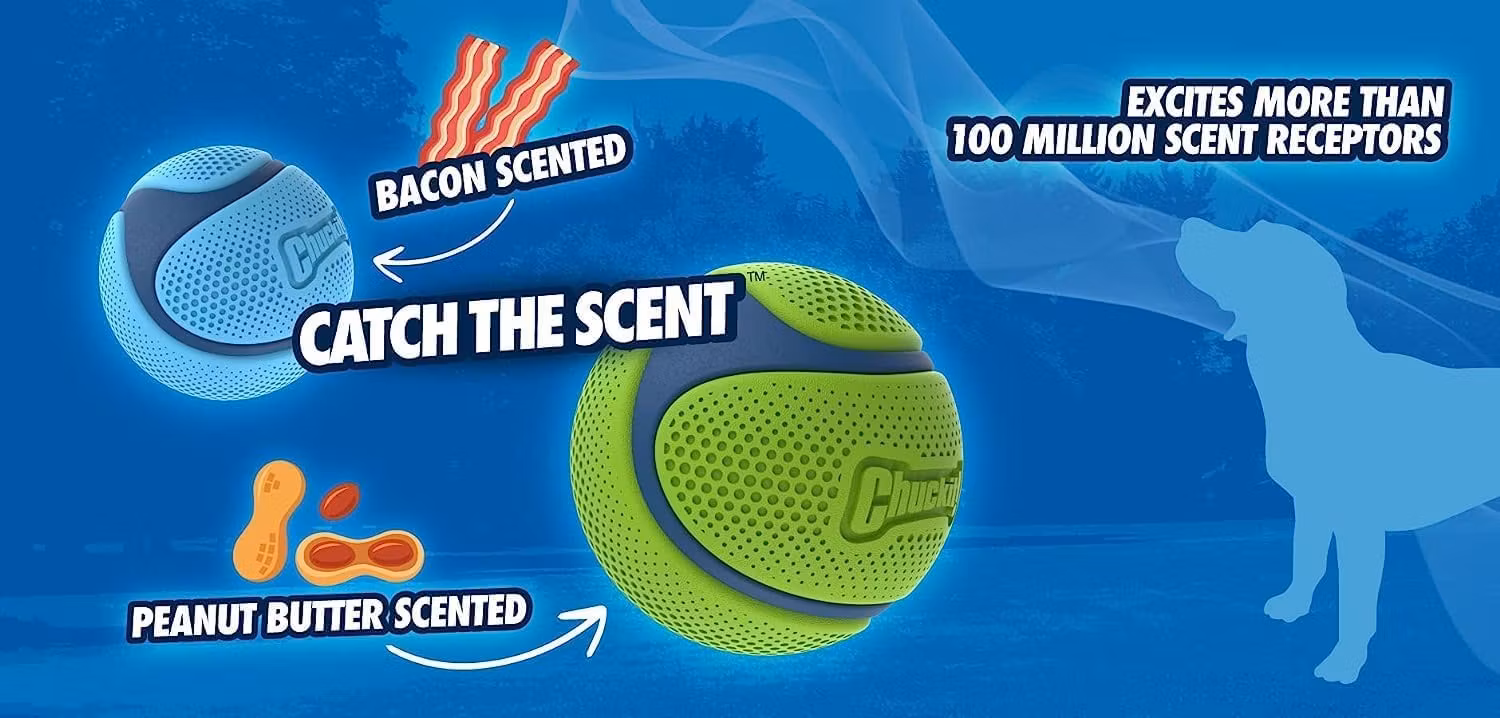 Chuckit!® Sniff fetch bold (doft av jordnötssmör) Ø6 cm