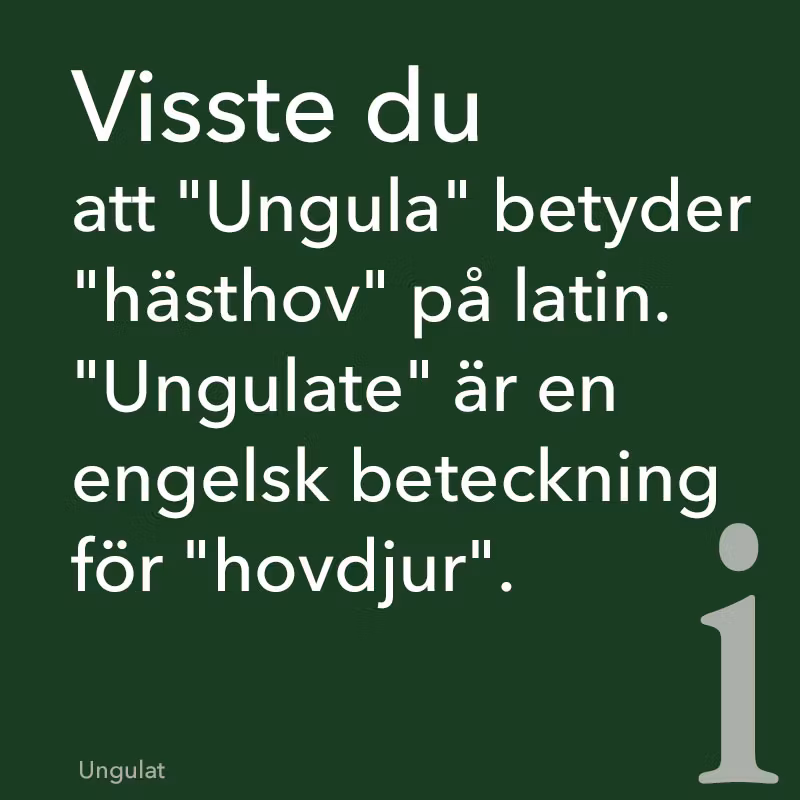 St Hippolyt Ungulat® 5 kg/10 kg- välmående hovar