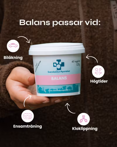 Svenska DjurApoteket Balans-  45 lugnande tuggbitar 120 gr