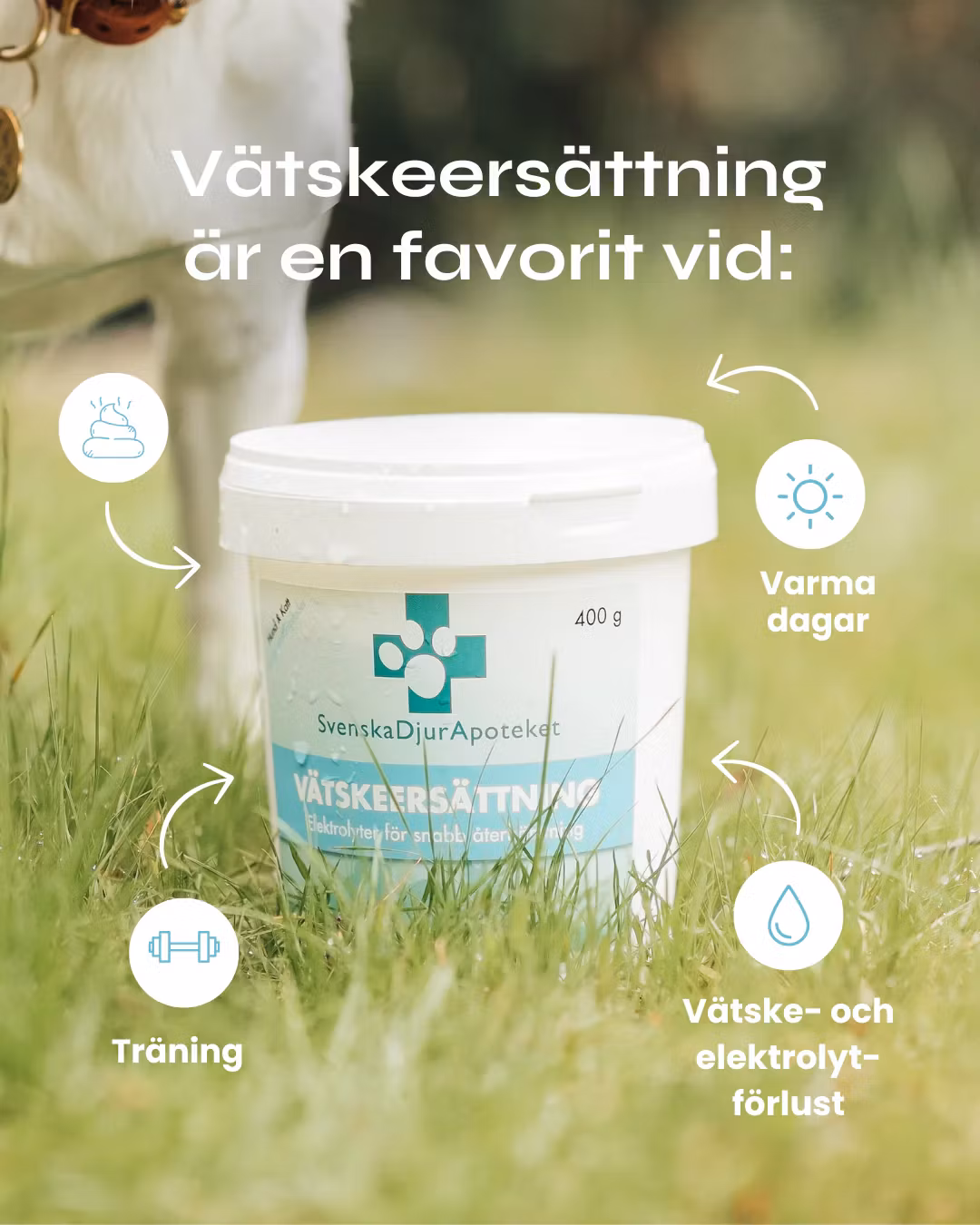 Svenska DjurApotekets Vätskeersättning 400g