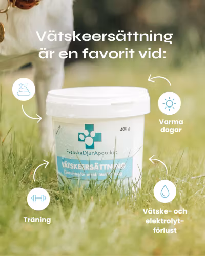 Svenska DjurApotekets Vätskeersättning 400g