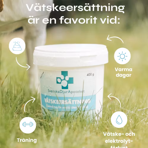 Svenska DjurApotekets Vätskeersättning 400g