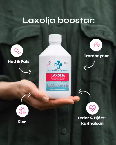 Svenska DjurApotekets Laxolja 500ml/ 1000ml