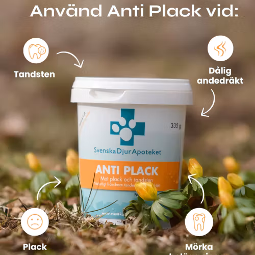Svenska DjurApotekets Anti Plack 335g