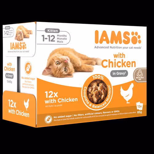 IAMS Wet Food Kitten Chicken in Gravy- för kattungar, kyckling i sås 12 x 85 g påsar