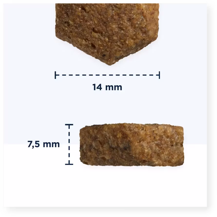 Eukanuba Daily Care Overweight Adult All Breed- överviktiga och steriliserade 12 kg