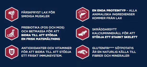 Eukanuba Daily Care Mono-protein Salmon Adult All Breed- lax 12 kg