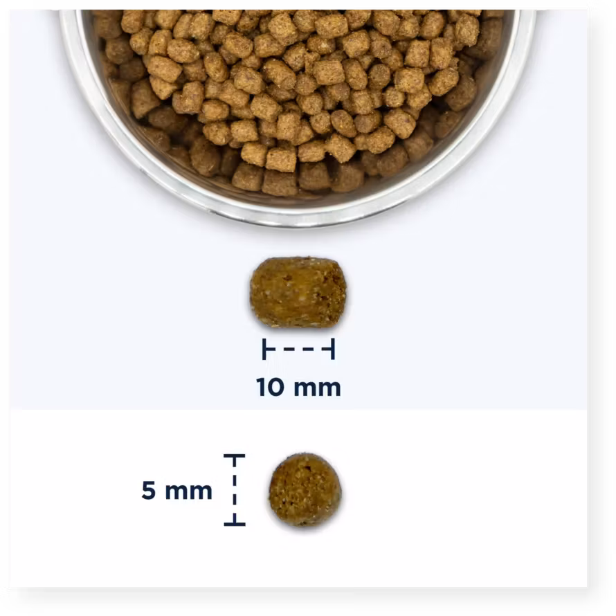 Eukanuba Cat Sterilised/Weight Control Adult 2 el.10 kg