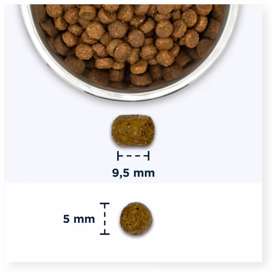 Eukanuba Cat Senior Chicken 10 kg