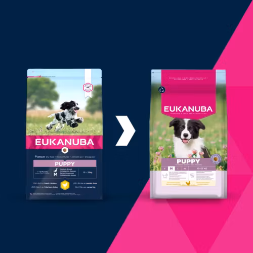 Eukanuba Puppy Medium Breed Fresh Chicken 3 kg/15 kg/18 kg