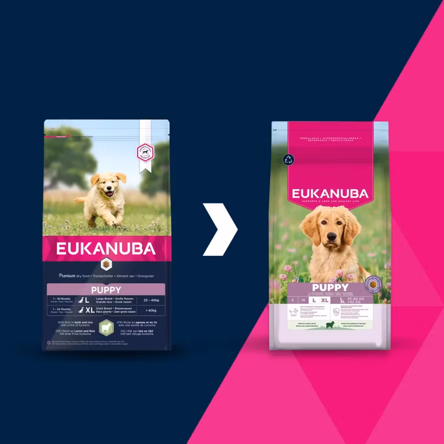 Eukanuba Puppy Large Breed Lamb & Rice 2,5 kg/12 kg