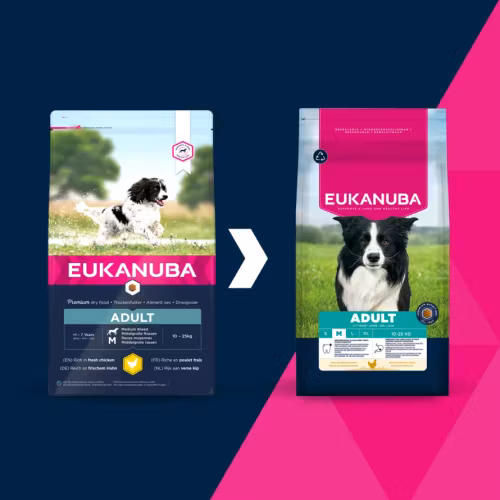 Eukanuba Adult Medium Breed Fresh Chicken 3 kg/15 kg/18 kg