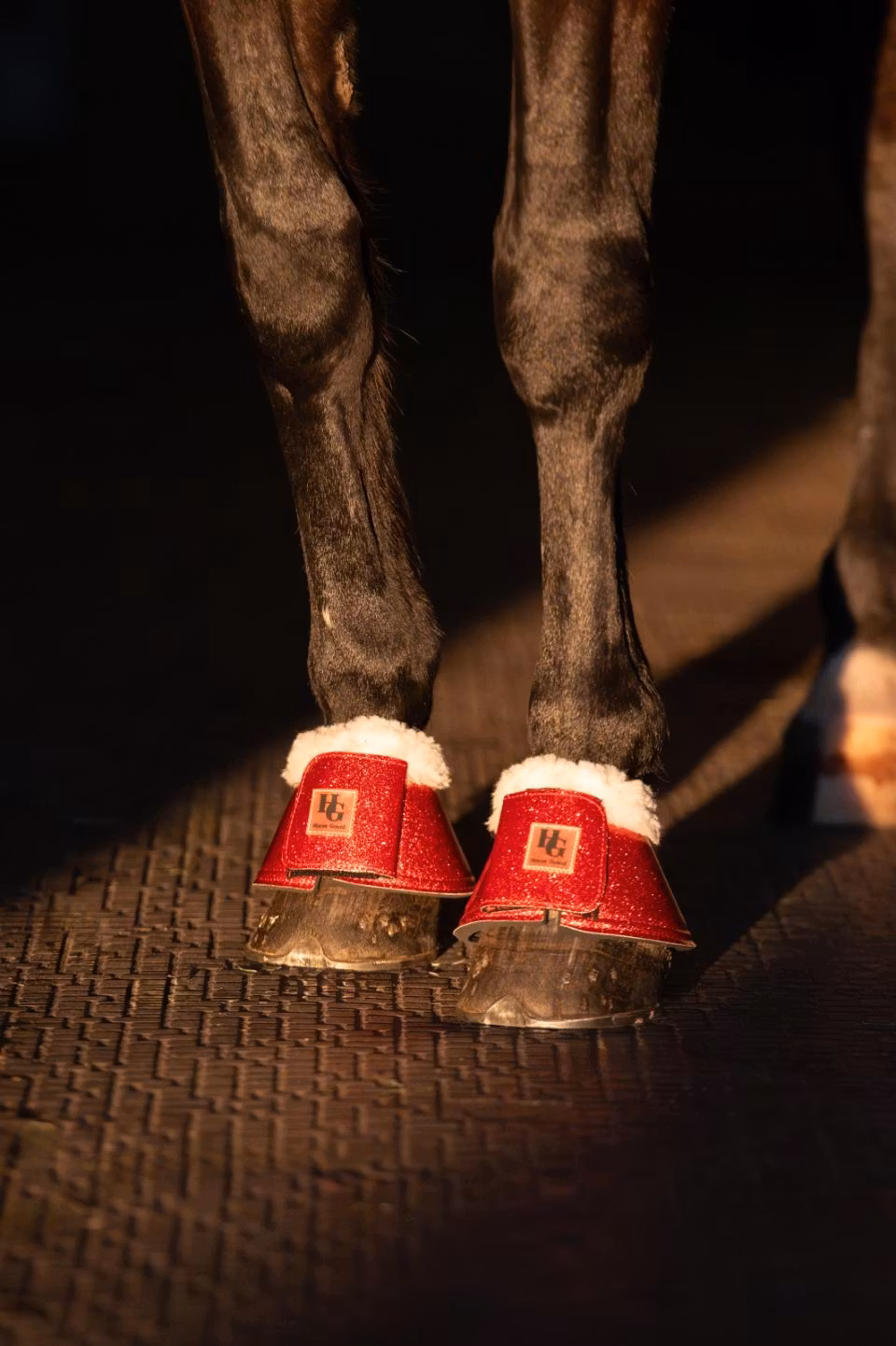 HorseGuard Lulu Glitterboots. M, L el XL