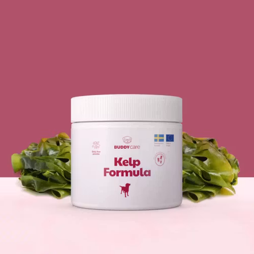 Buddycare Kelp Formula  250ml