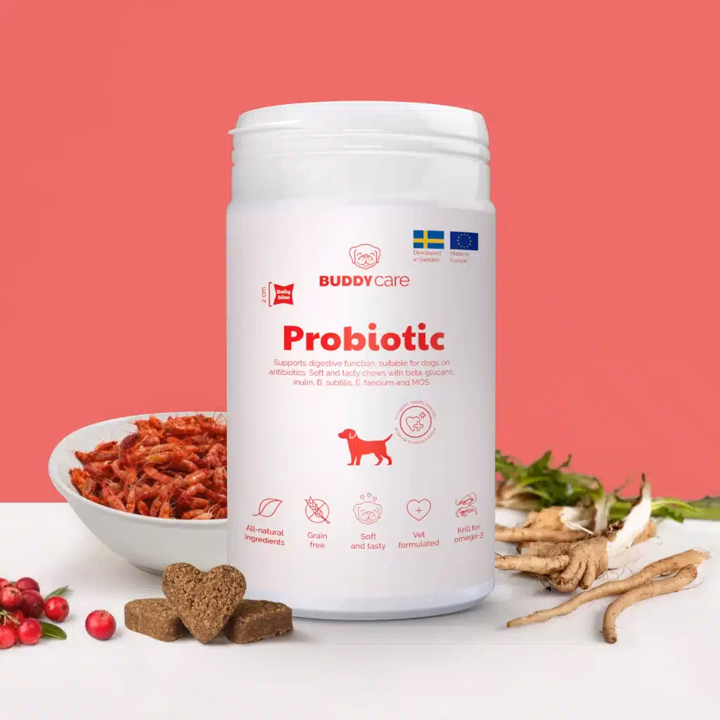 Buddycare Probiotic- matsmältning/immunförsvar - 72 tuggbitar