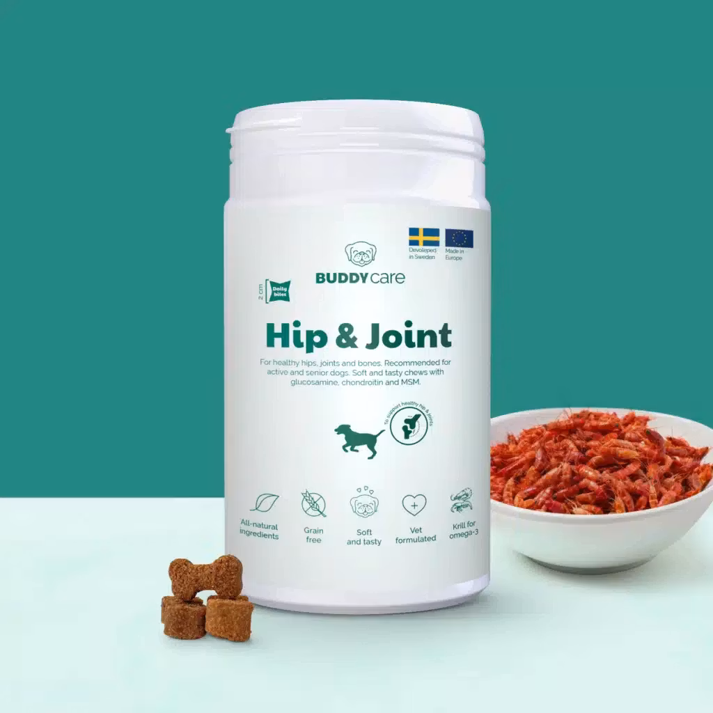 Buddycare Hip & Joint-leder/flexibilitet - 72 tuggbitar