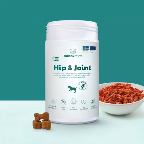 Buddycare Hip & Joint-leder/flexibilitet - 72 tuggbitar