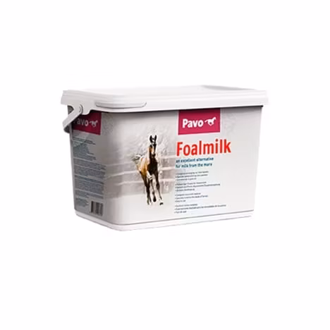 Pavo® Foalmilk 10 kg- Ett alternativ till stoets mjölk