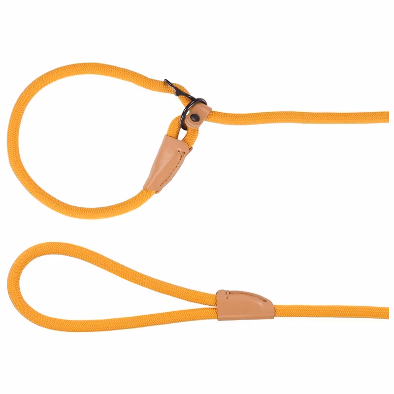 Anti-pull leash Puppy Malibu/ Anti-drag koppel, valp 170cm 10mm
