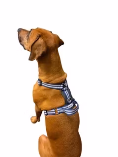 Metizo Cozitem- promenadsele med antidrag (med reflex) Blå XXS till XL